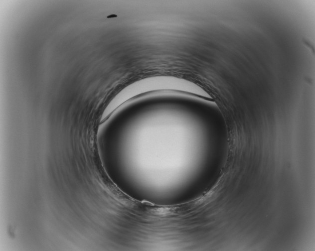 X0000102290184200808011521