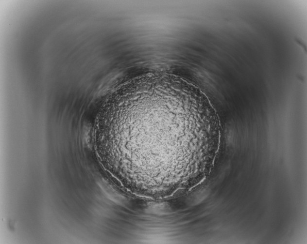 X0000102290185200808011521