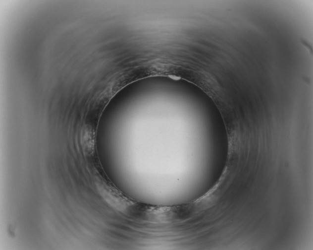 X0000102290186200808011521