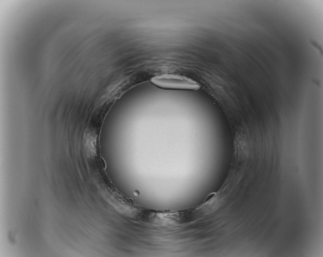 X0000102290188200808011521