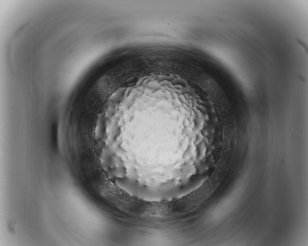 X0000102290189200808011521