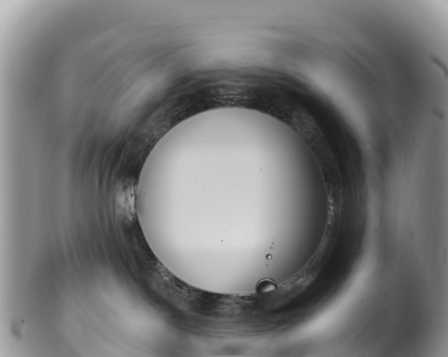 X0000102290190200808011521