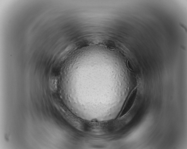 X0000102290191200808011521