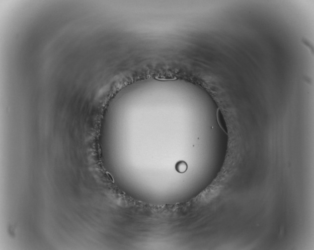 X0000102290192200808011521