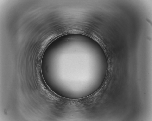 X0000102290193200808011520