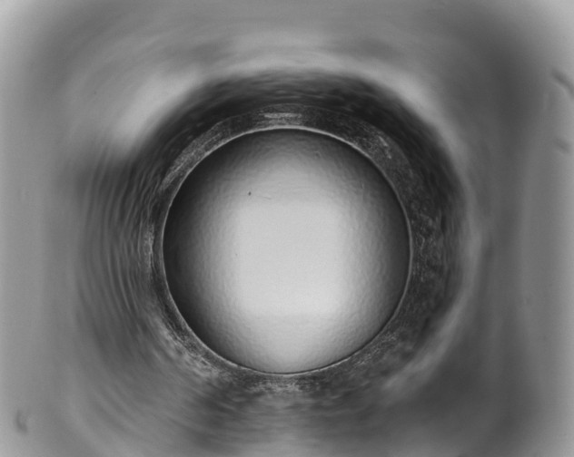 X0000102290194200808011520