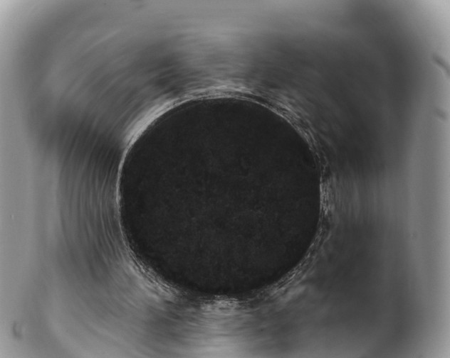 X0000102290196200808011520