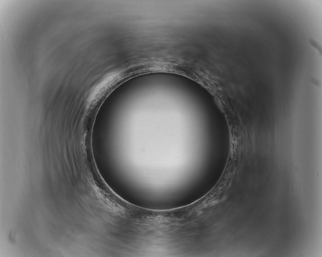 X0000102290197200808011520