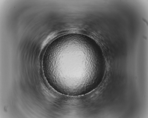 X0000102290198200808011520