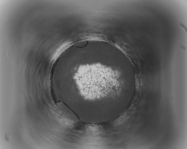 X0000102290199200808011520