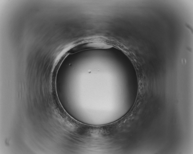 X0000102290200200808011520