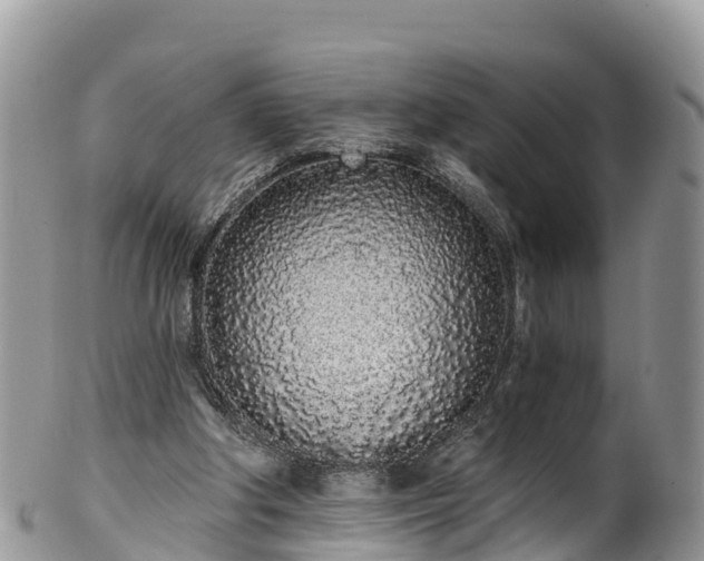 X0000102290202200808011520