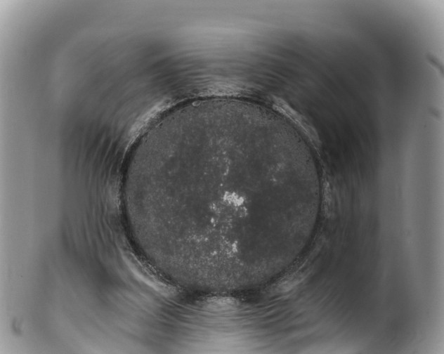 X0000102290203200808011520