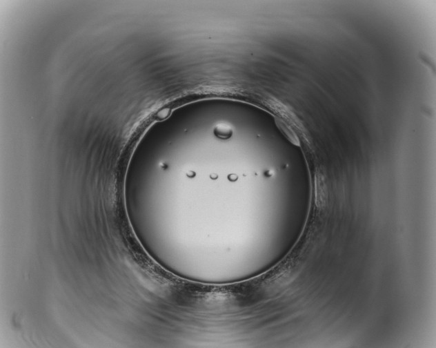 X0000102290204200808011520