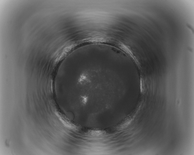 X0000102290205200808011520