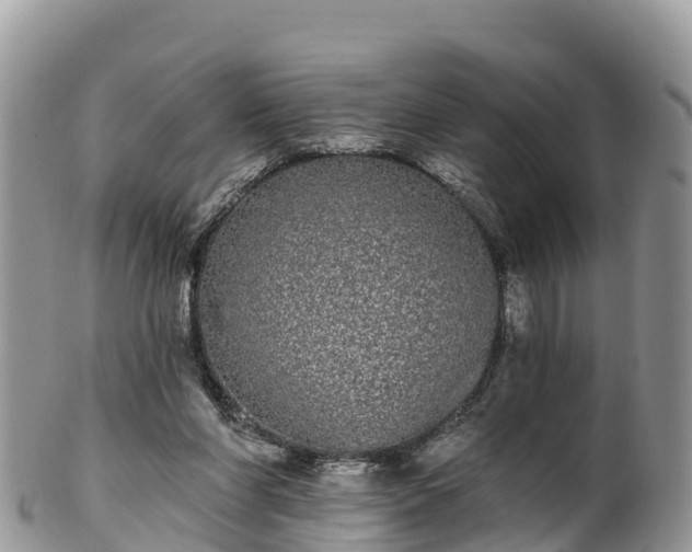 X0000102290206200808011520