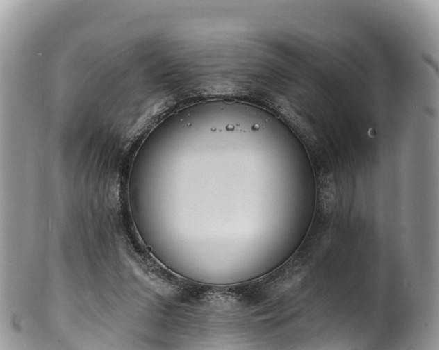 X0000102290207200808011520