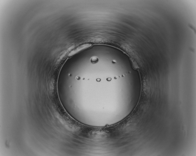 X0000102290208200808011520