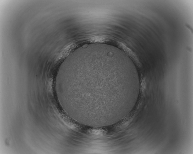 X0000102290209200808011520