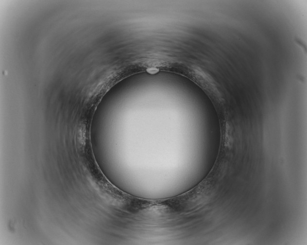 X0000102290210200808011520