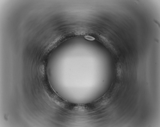 X0000102290211200808011520