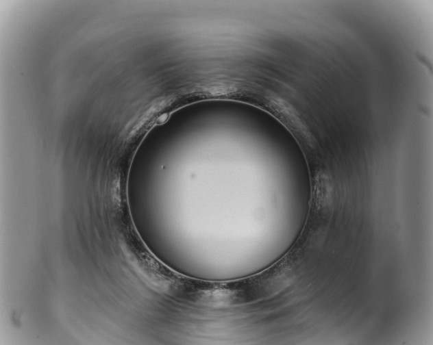 X0000102290212200808011520