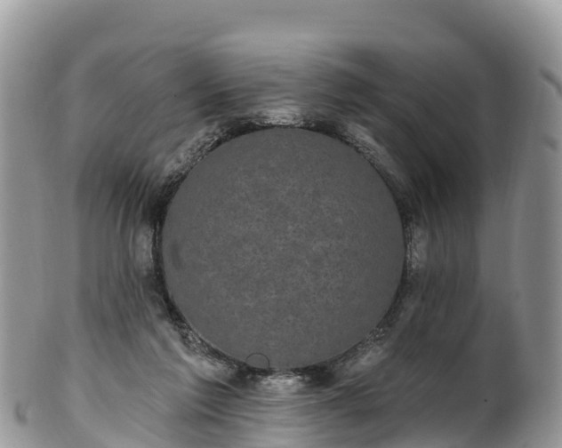 X0000102290213200808011520