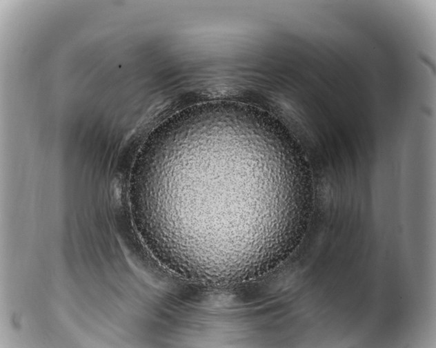 X0000102290214200808011520