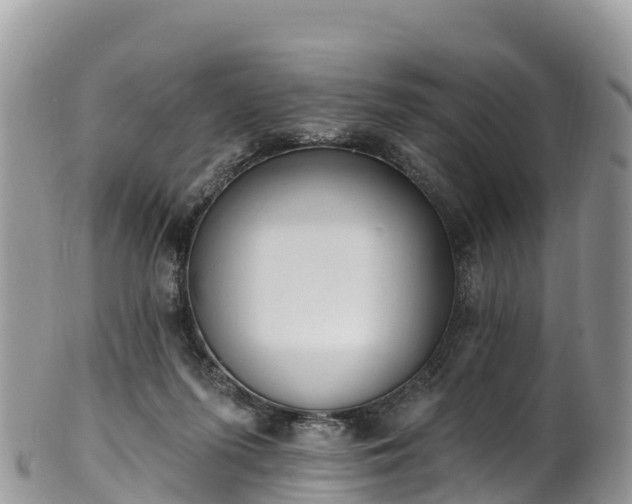 X0000102290215200808011520