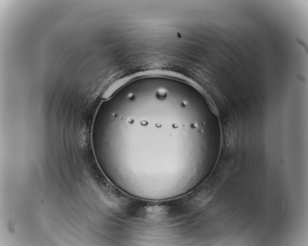 X0000102290216200808011520