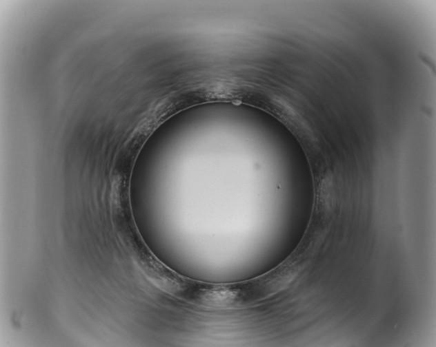 X0000102290217200808011520