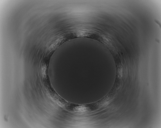 X0000102290219200808011520