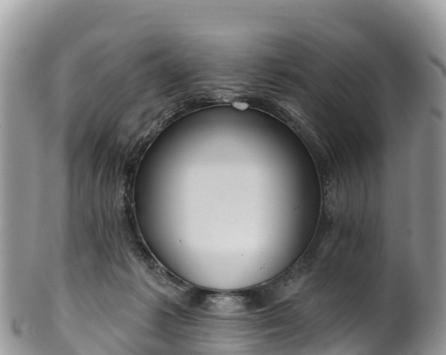 X0000102290221200808011520