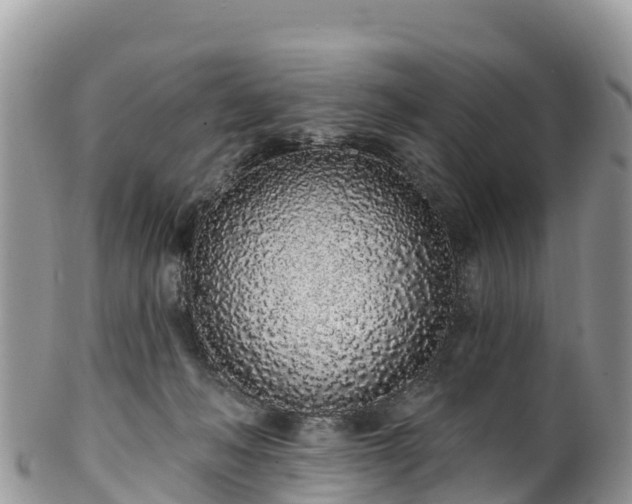 X0000102290222200808011520