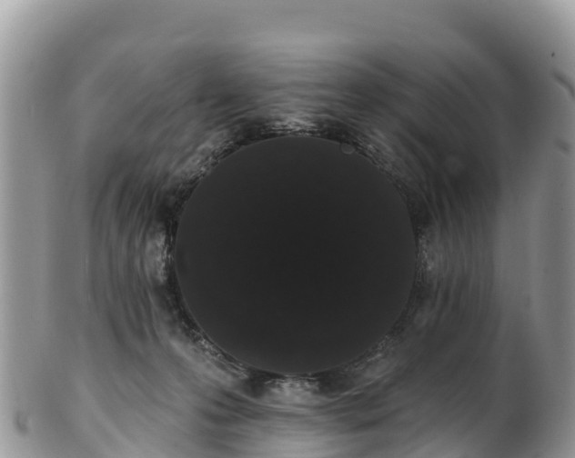 X0000102290223200808011520