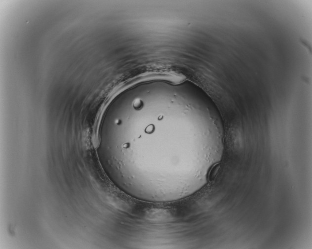 X0000102290224200808011520