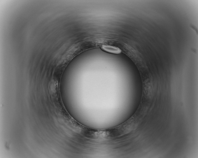 X0000102290225200808011520