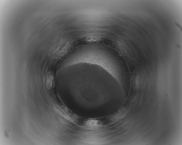 X0000102290227200808011520