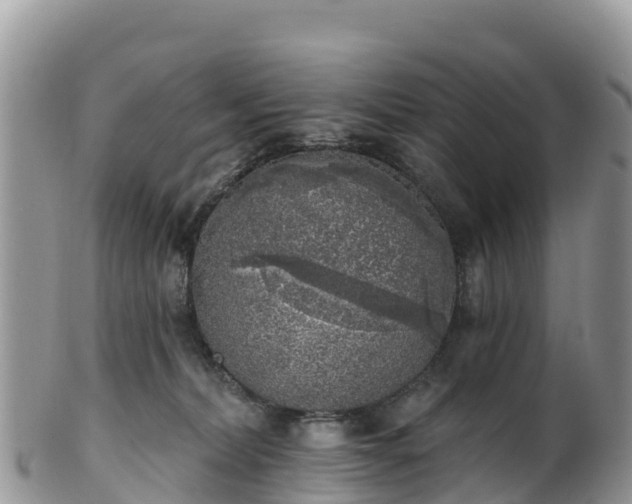 X0000102290228200808011520