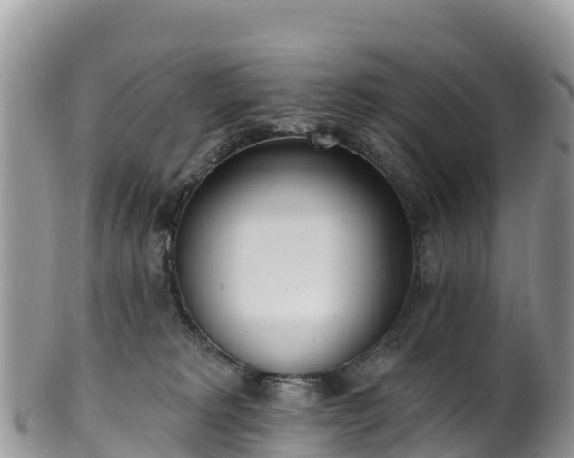 X0000102290229200808011520