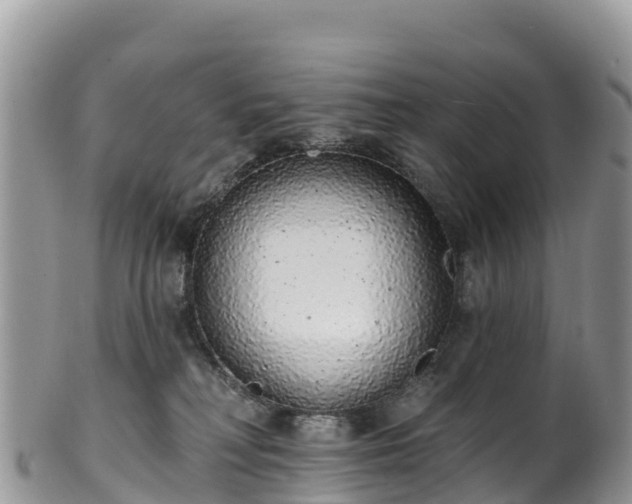 X0000102290230200808011520