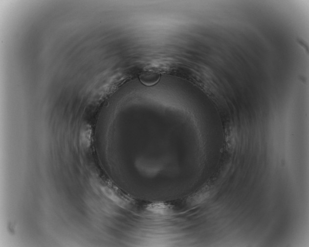 X0000102290231200808011520