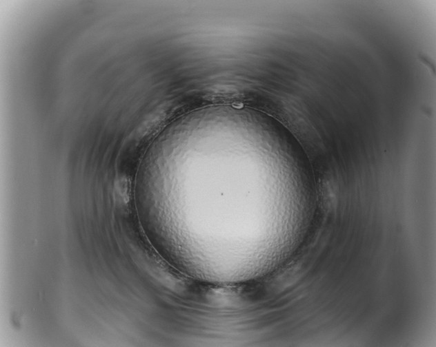 X0000102290232200808011520