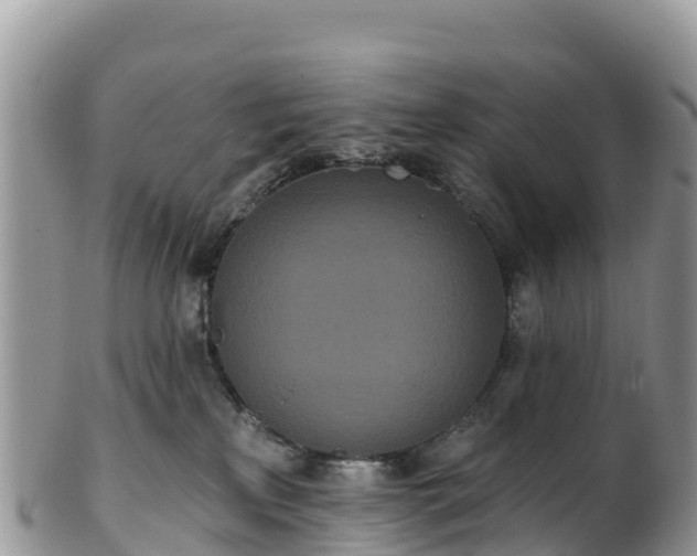 X0000102290233200808011520