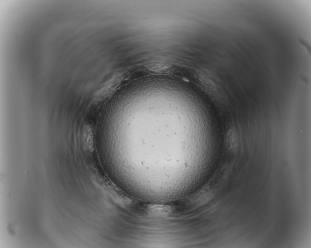 X0000102290234200808011520