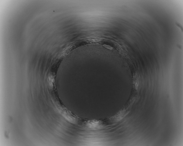 X0000102290235200808011520