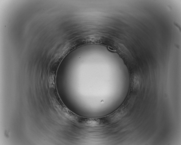 X0000102290236200808011520