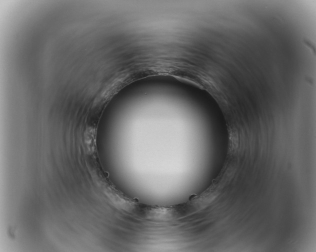 X0000102290237200808011520