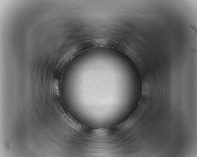 X0000102290238200808011520