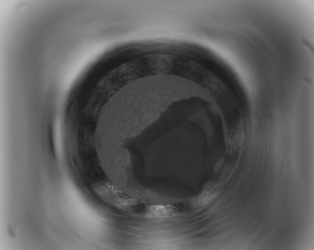 X0000102290239200808011520